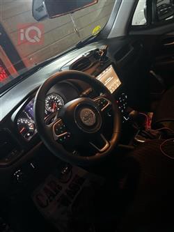 جيب رينيجيد